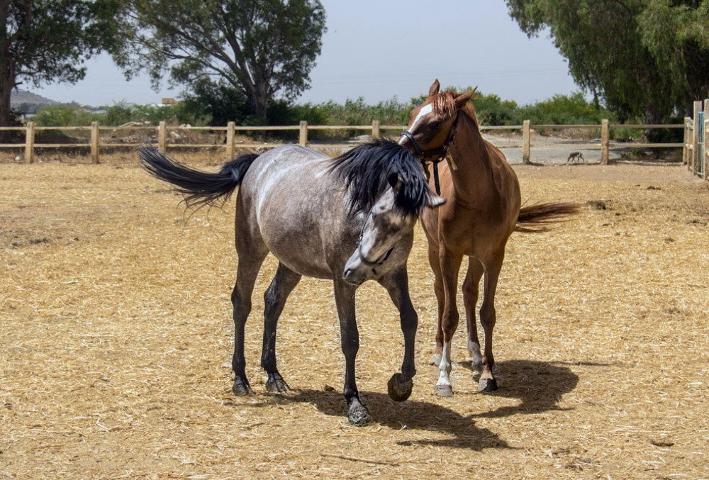 Фотография автора Ismail SAIDI