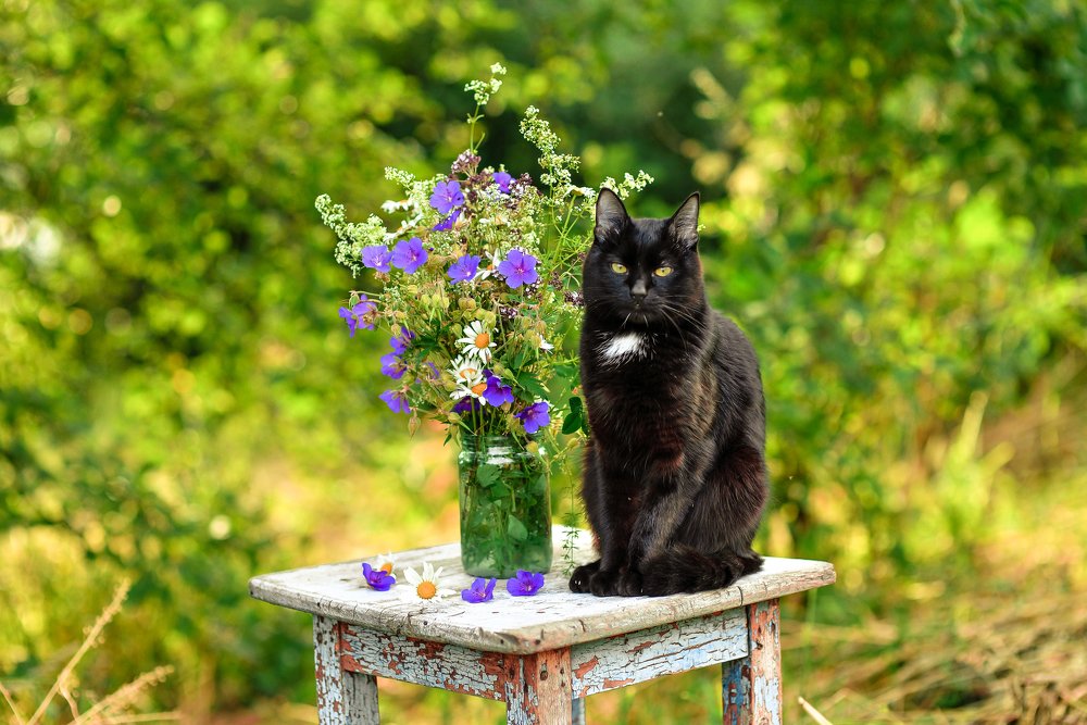 Photograph by Олеся Владимирова