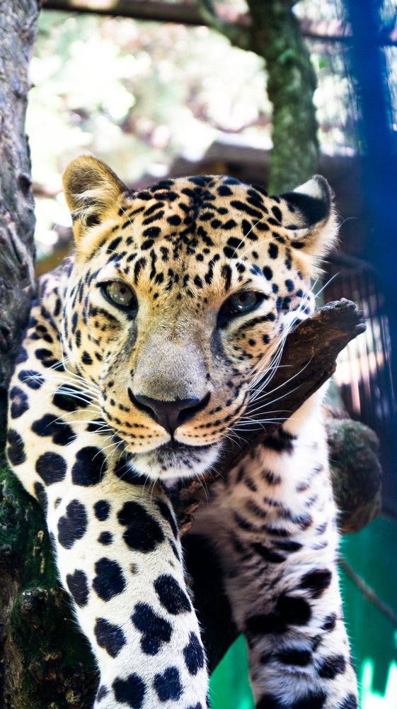 Photograph by Евгений Калагаев