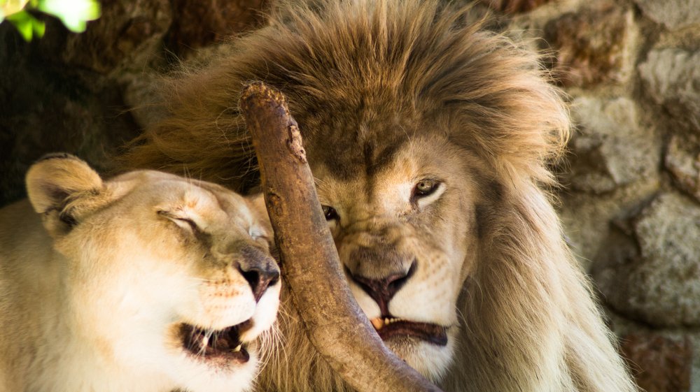 Photograph by Евгений Калагаев