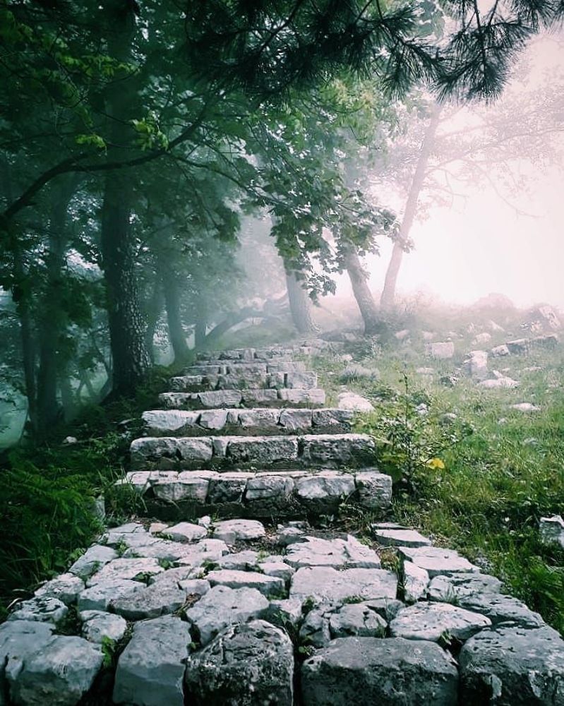 Фотография автора Mansoor Heydaryan