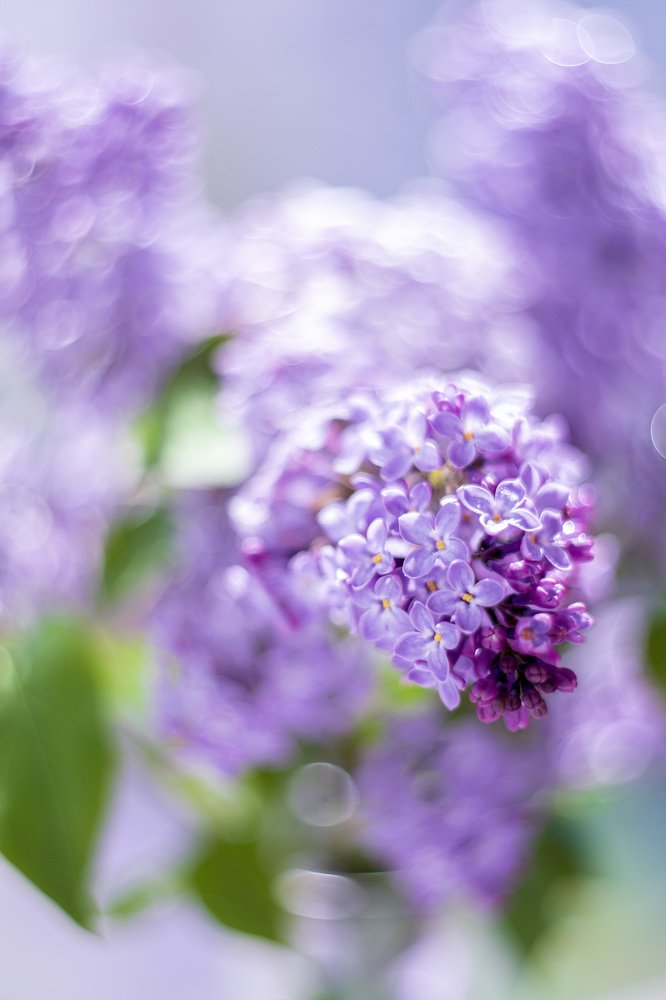 Photograph by Юлия Щербакова