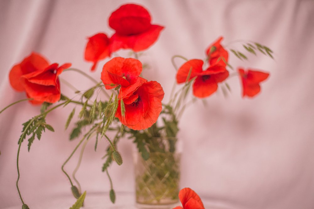 Photograph by Рита Одинокова