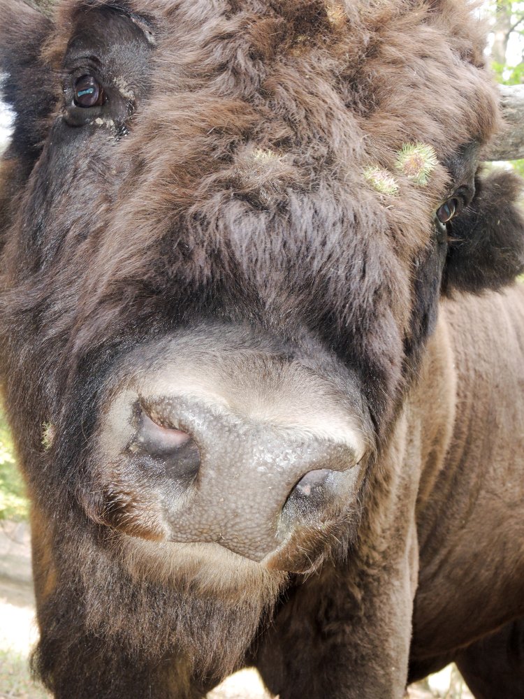 Photograph by Pucs Fongabe