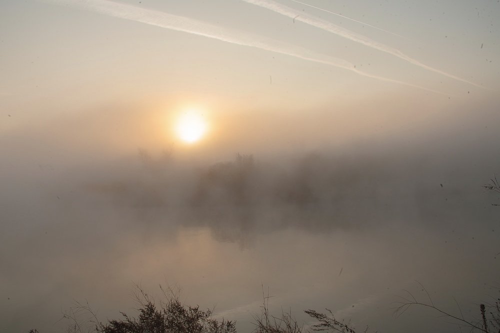 Photograph by Рита Одинокова