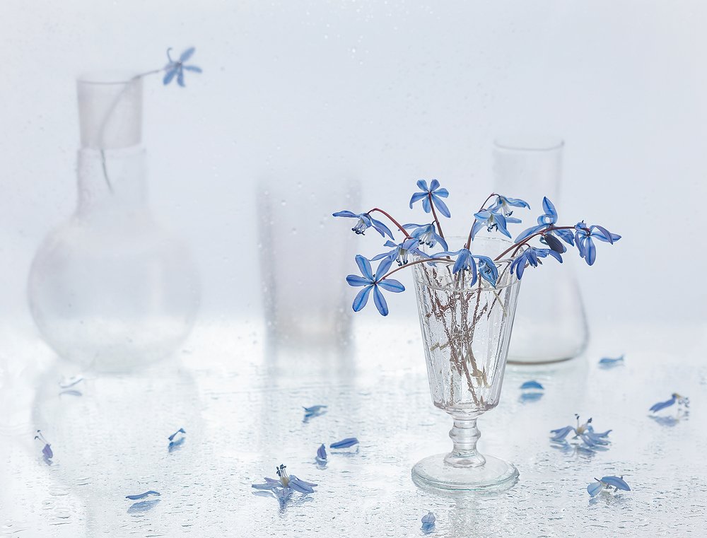 Предчуствие весны...