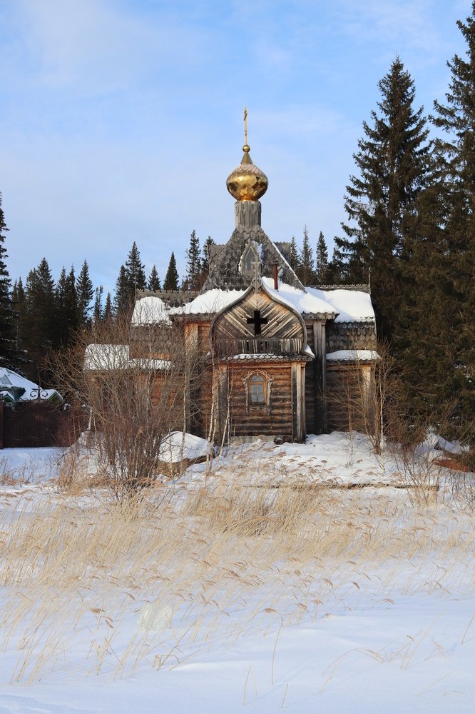 Фотография автора Веста Ягужинская