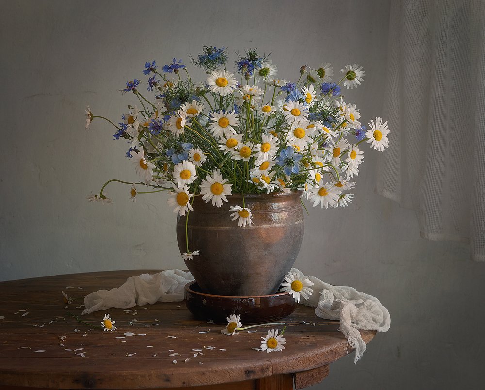 с полевыми цветами