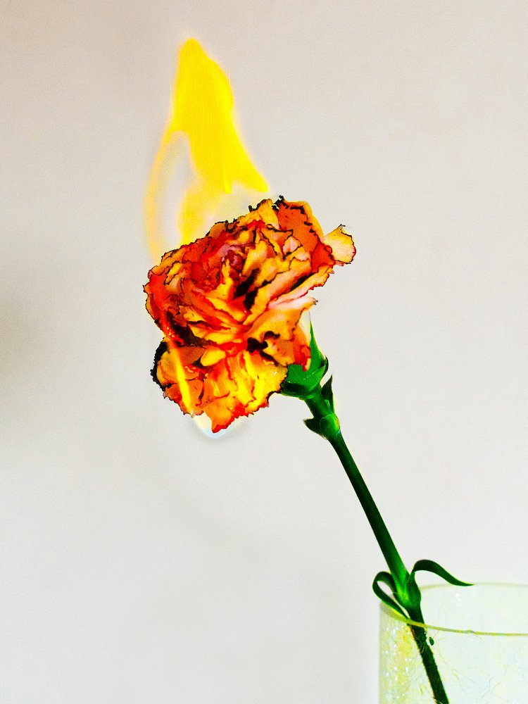 Фотография автора Криухов Антон