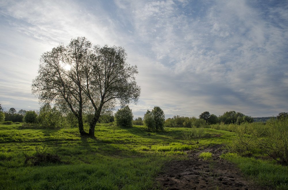 Photograph by Роман Пацкевич