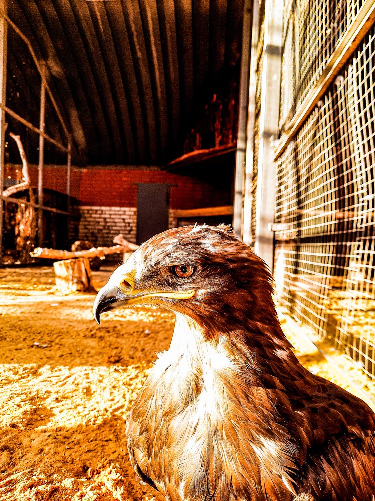 Photograph by Егор Андреев