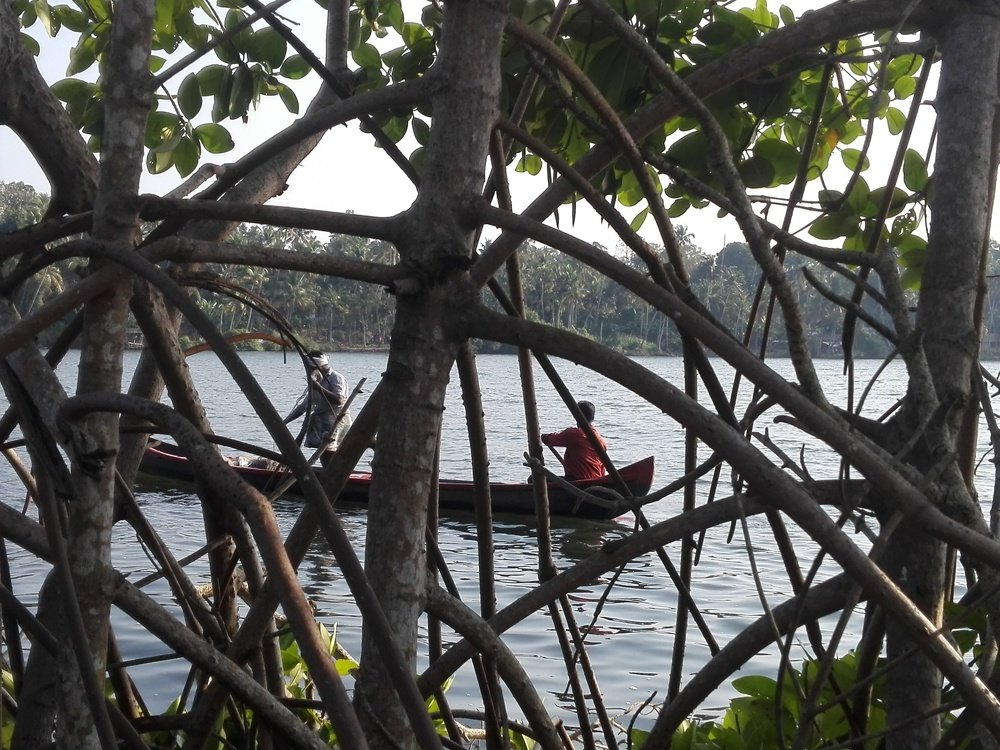 Photograph by Hari krishnajanardhana