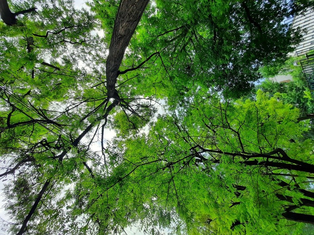 Photograph by Егор Андреев