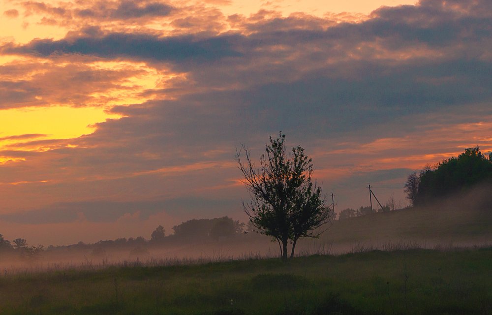 Photograph by Михаил Фенелонов