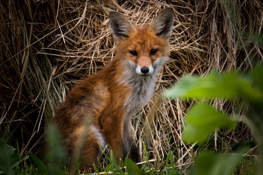 Photograph by Gaļina