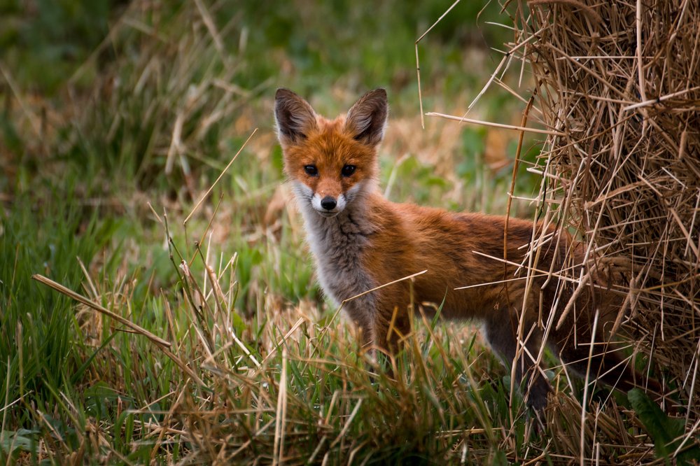 Photograph by Gaļina