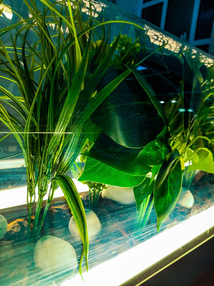 Photograph by Егор Андреев