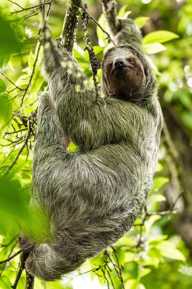 Photograph by Fredy Madrigal