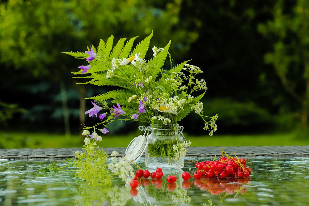 Photograph by Jelena Dzene