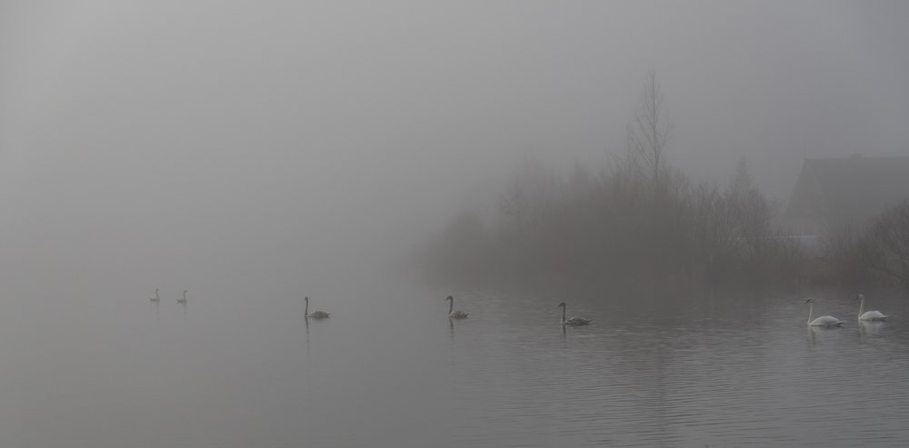 Photograph by Gaļina