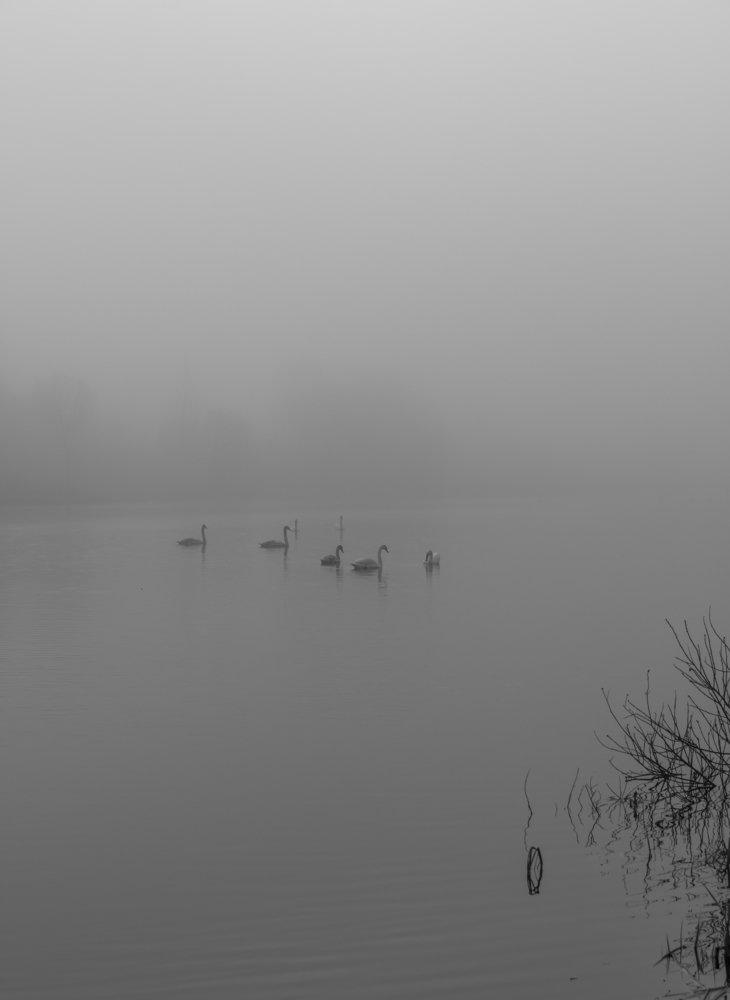 Photograph by Gaļina