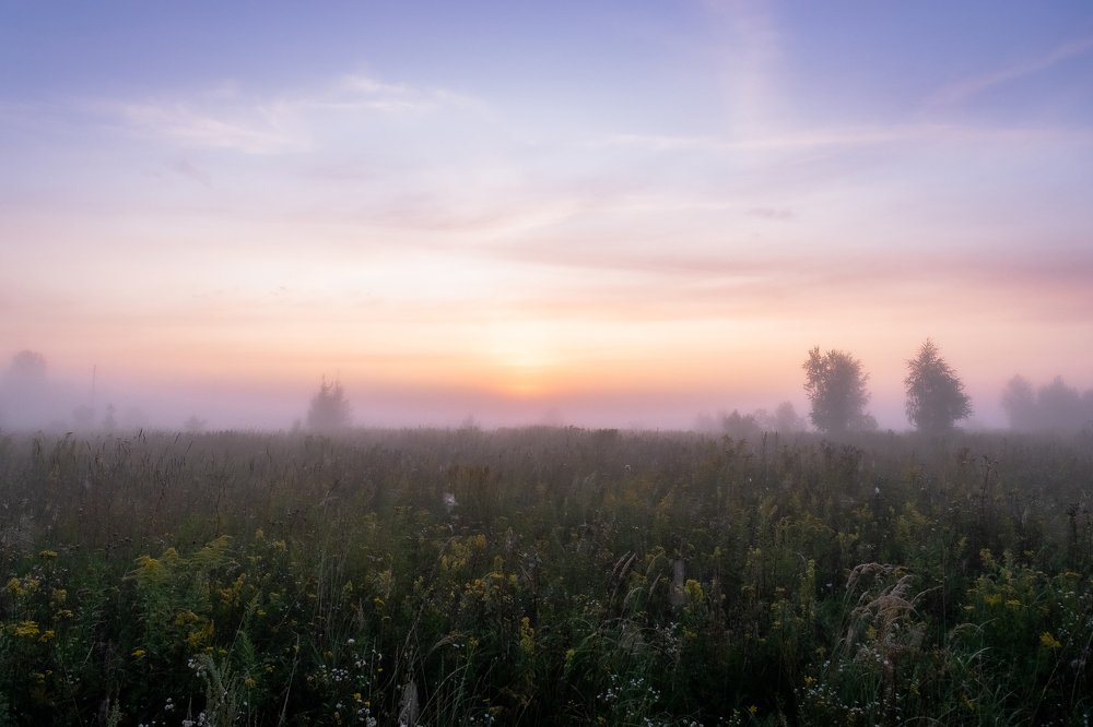 Рассвет в тумане