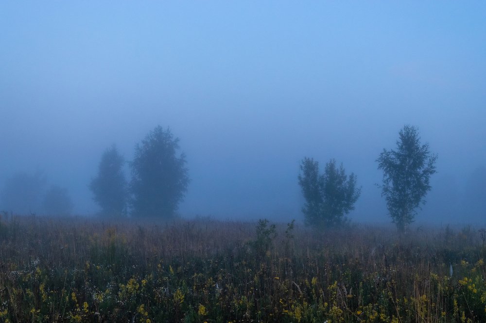 Теряющий взор