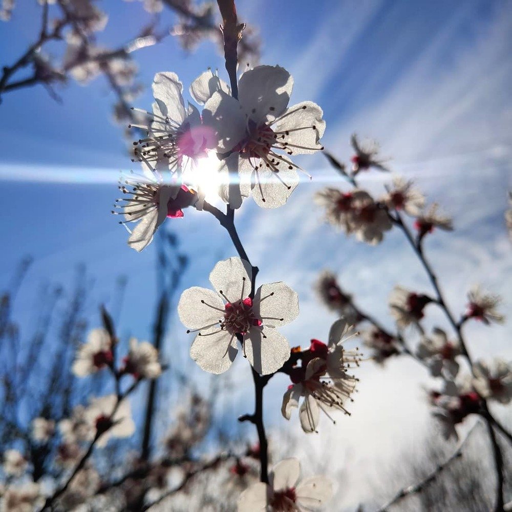 Photograph by Эльмира Халматова