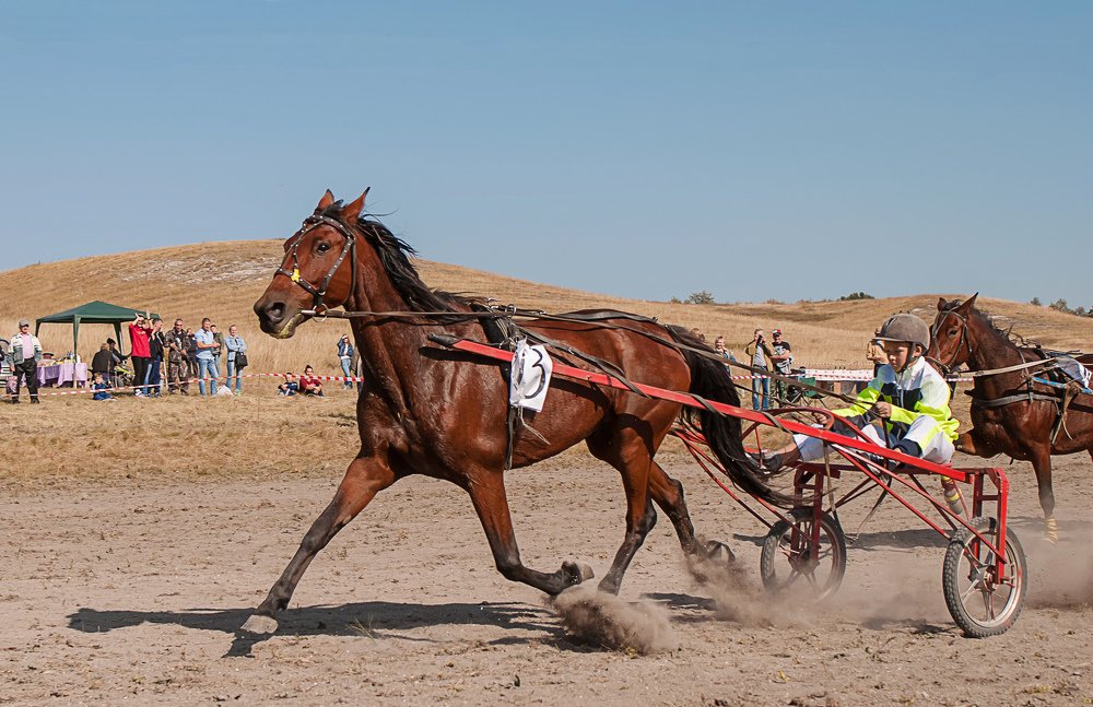 Photograph by Михаил Фенелонов