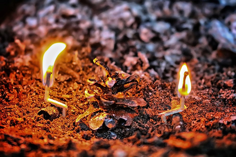 Беседа на повышенных тонах