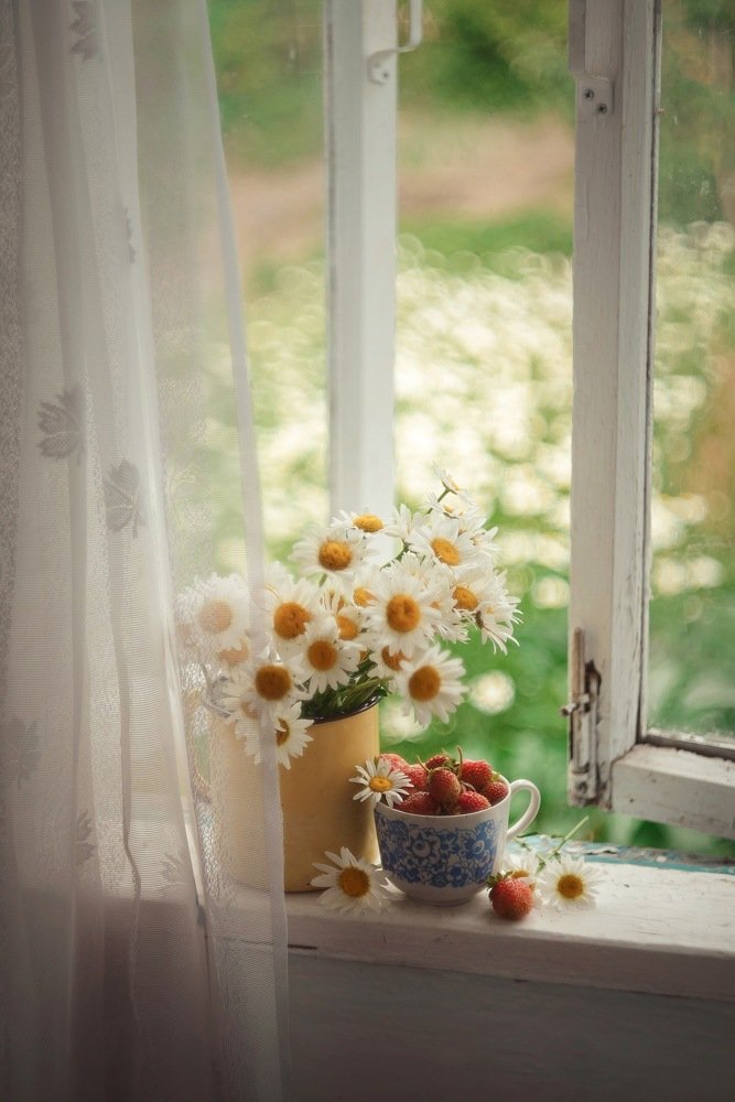 Photograph by Печерских Ксения