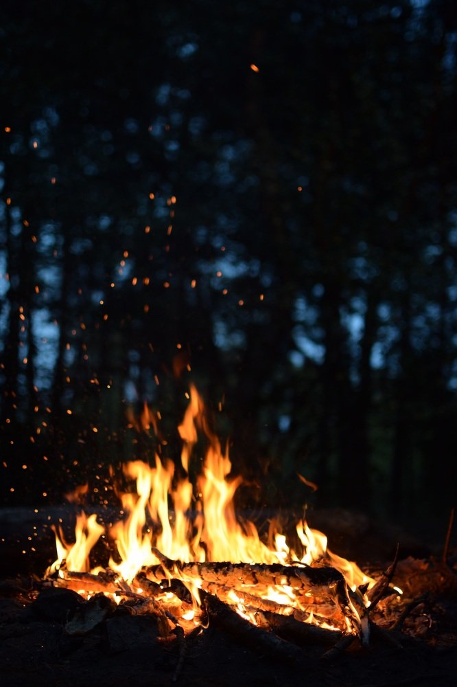 Фотография автора Алексей Боровик