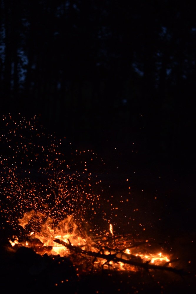 Фотография автора Алексей Боровик