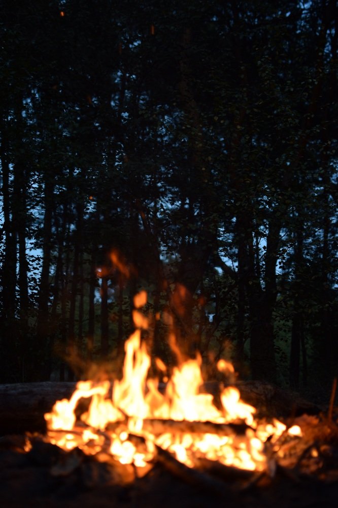 Фотография автора Алексей Боровик