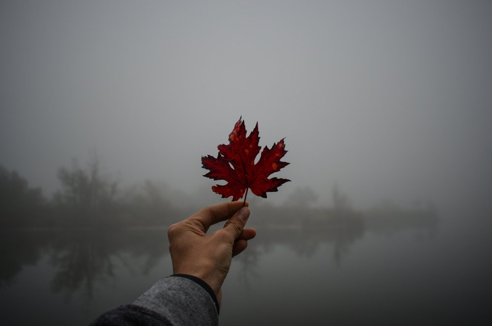Фотография автора Алексей Боровик