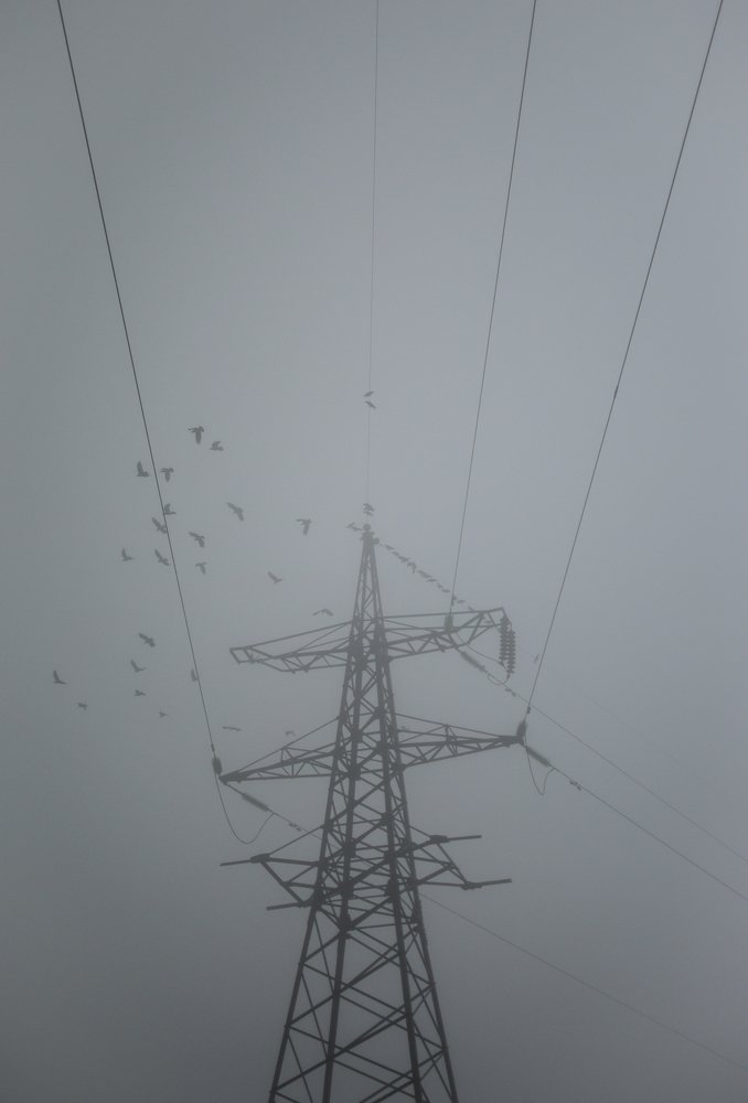 Фотография автора Алексей Боровик