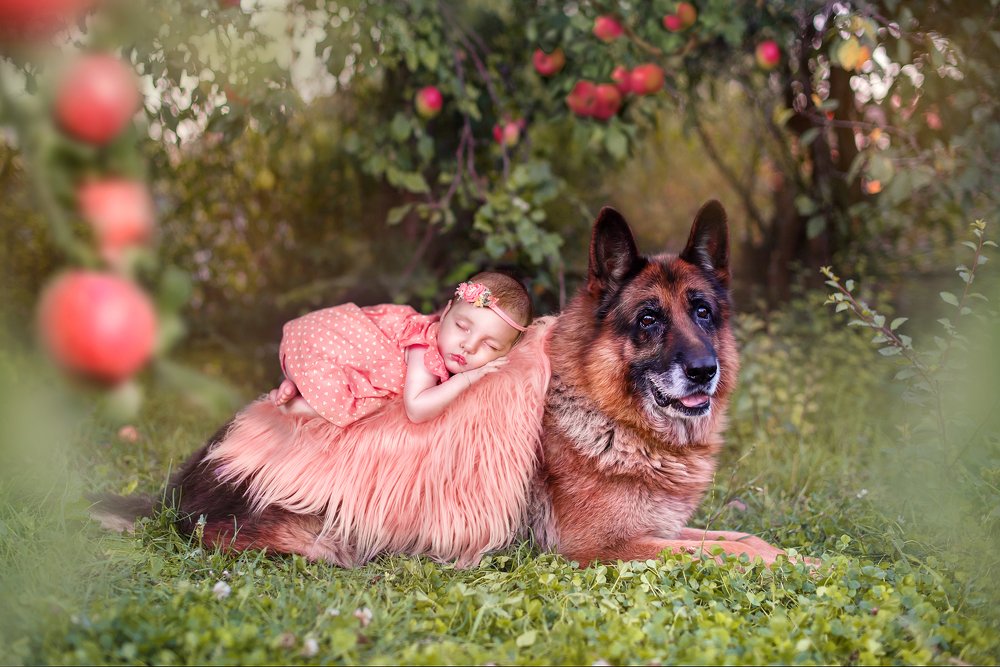 Photograph by Алена Михайлова