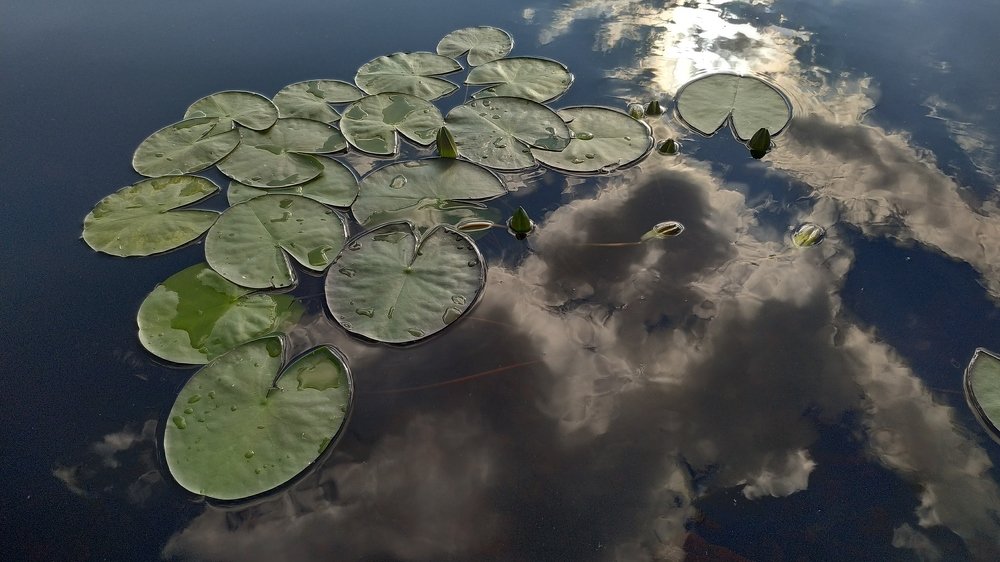 Photograph by Максим Покрышкин