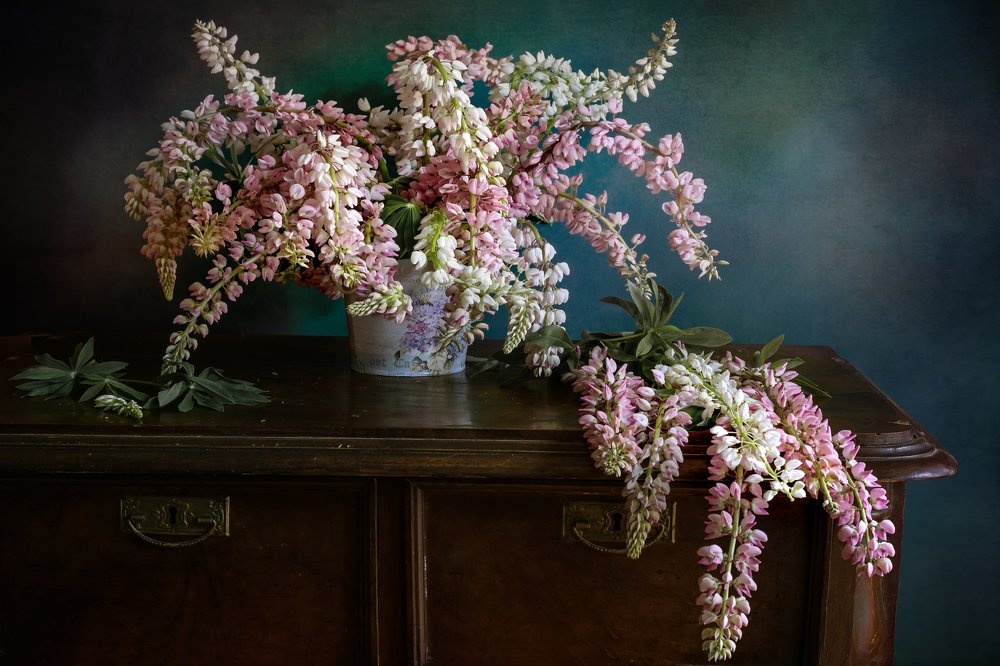 Photograph by Елизавета Шавардина