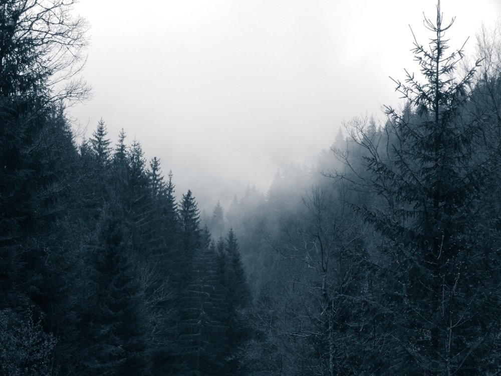 Photograph by Владислав Кушнаренко