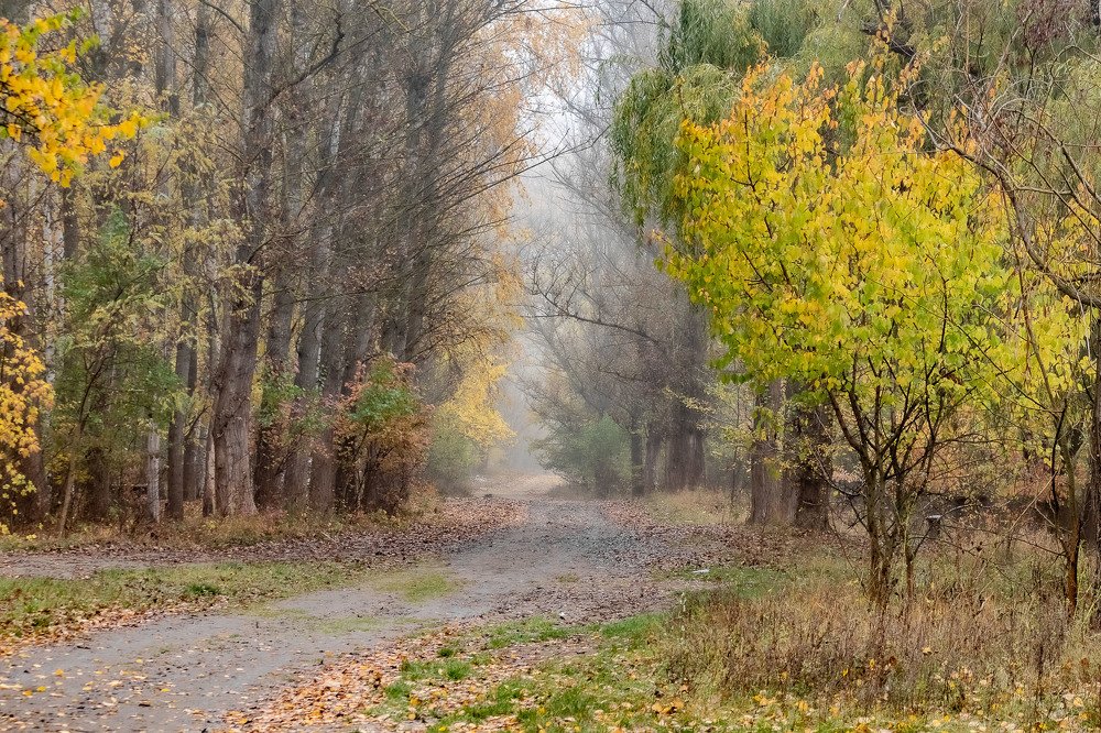 Photograph by Алексей Кремнёв