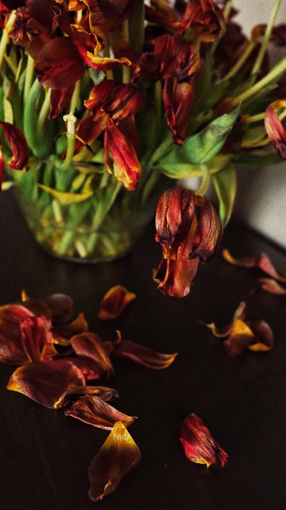 Photograph by Olga Lebedeva