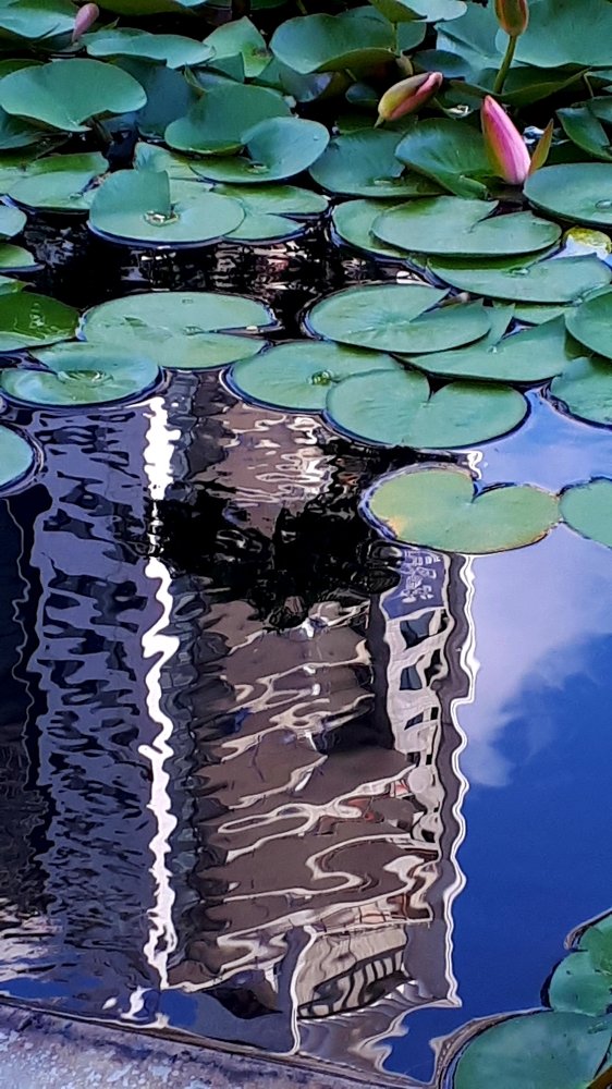 Цветочный стол