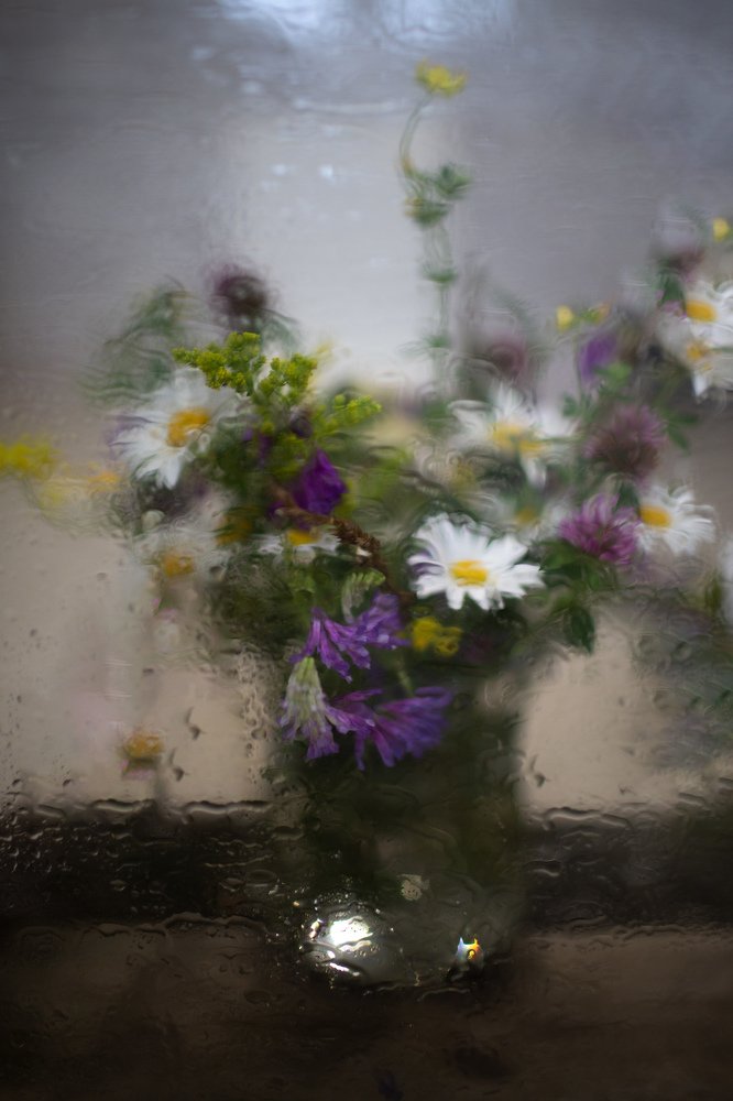 Photograph by Екатерина Кваша