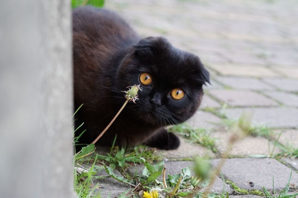 Photograph by Ольга Андрусив