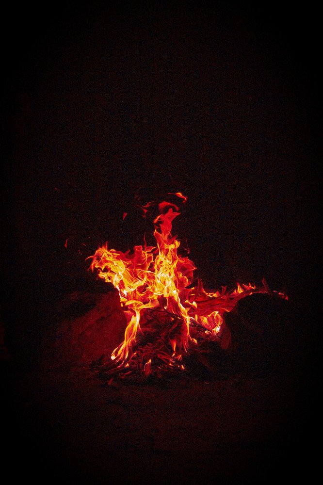 Photograph by Mhammad Moussa