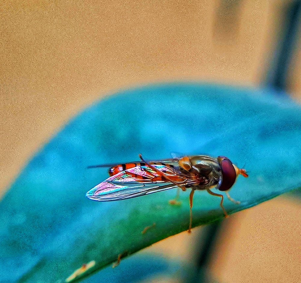Photograph by Ritvik Gugnani