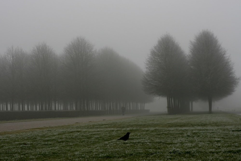 Photograph by Ксения Лаевская