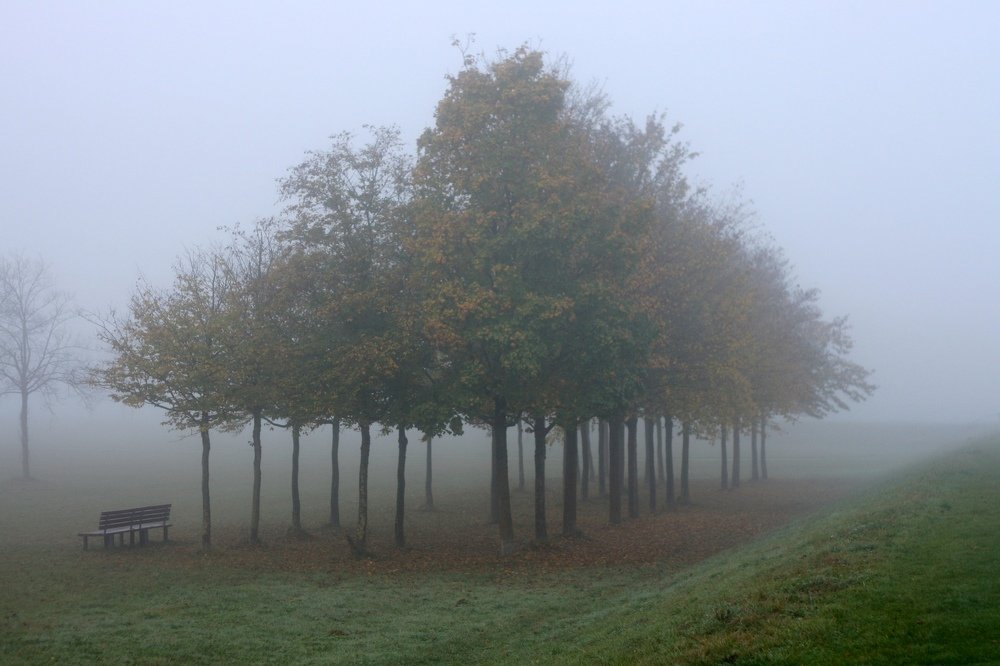 Photograph by Ксения Лаевская