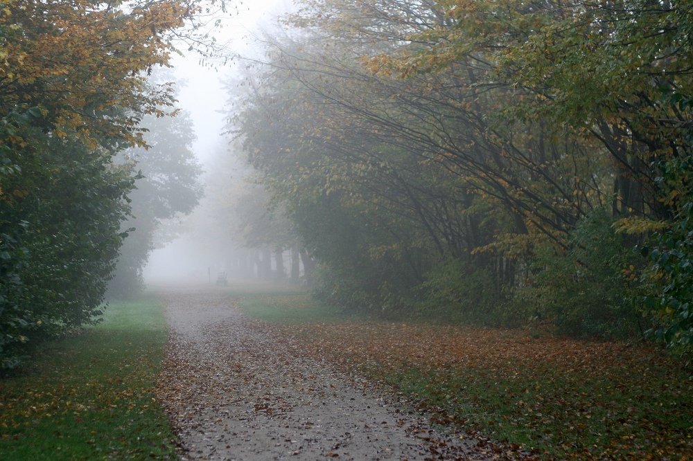 Photograph by Ксения Лаевская